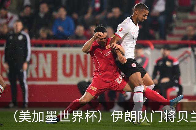 （美加墨世界杯）伊朗队门将贝兰万德的“满分”